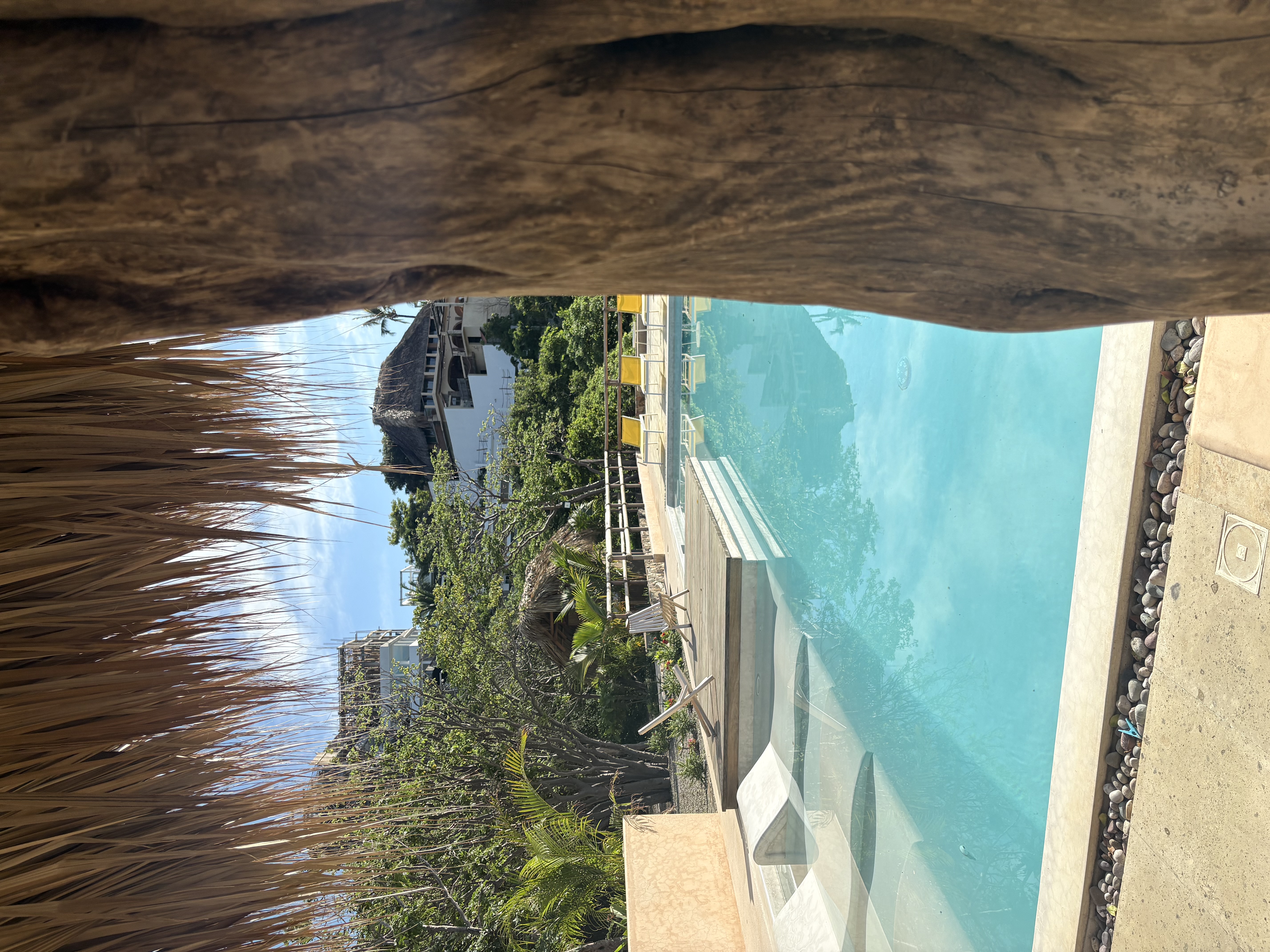 Pool and palapa view